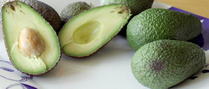 Avocado Fruits