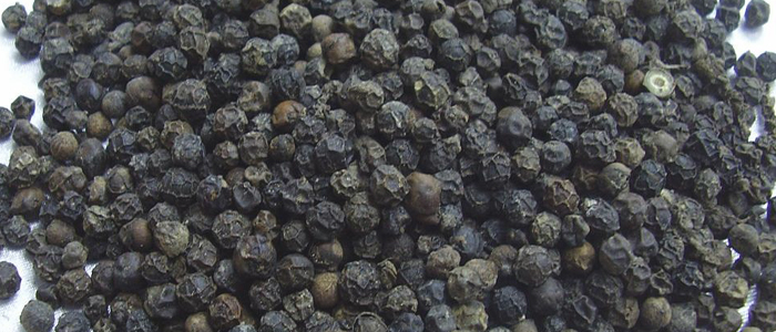 Black Pepper Seeds