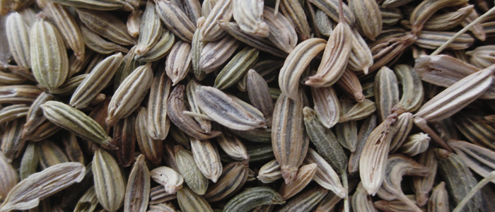 Caraway Seeds