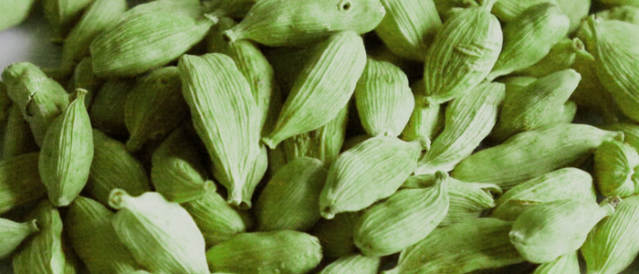 Cardamom Cardamom
