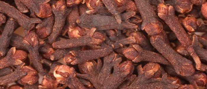 Clove