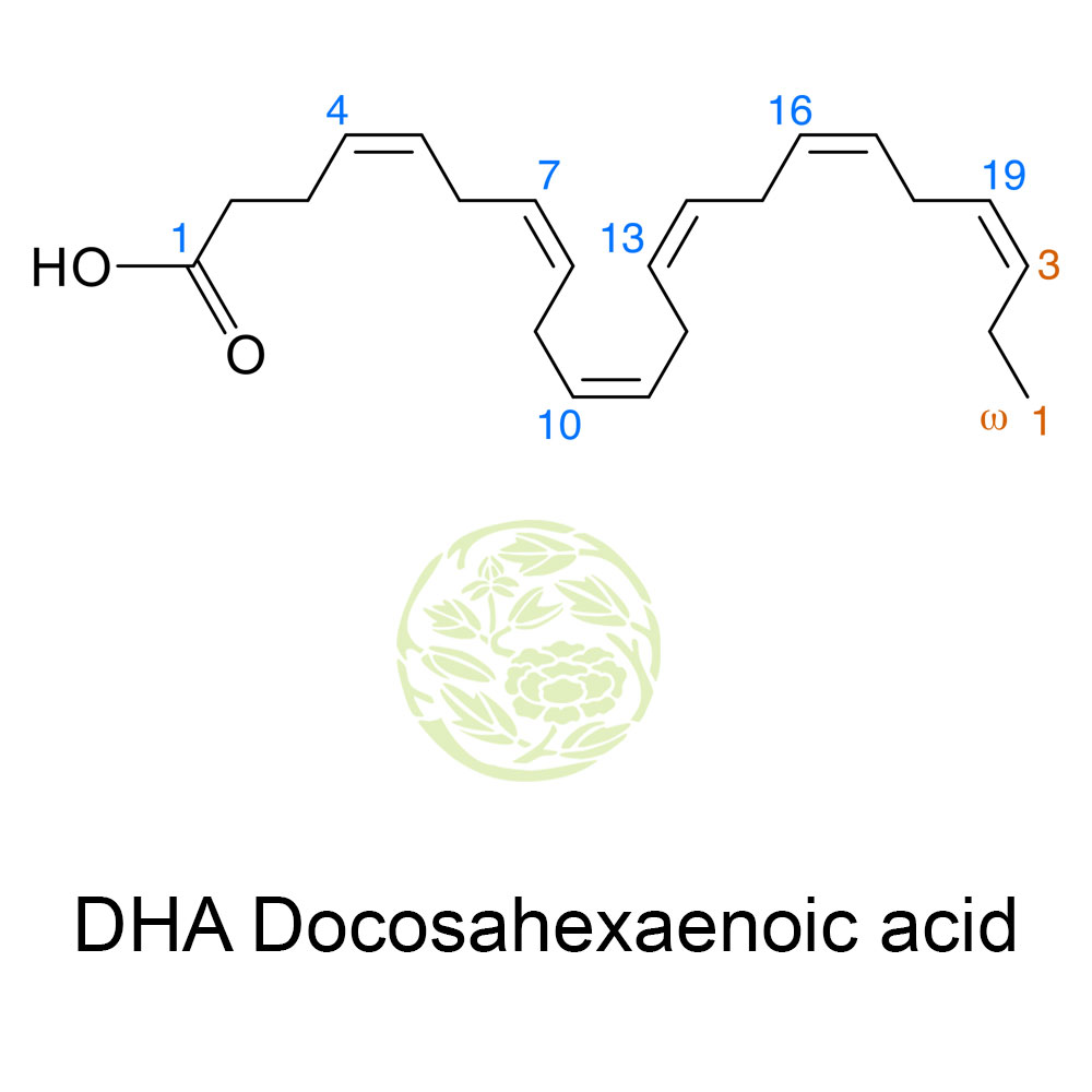 DHA oil Docosahexaenoic Acid