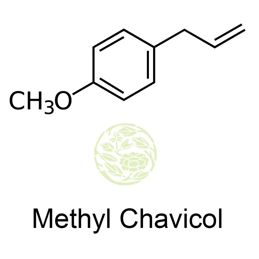 Methyl Chavicol Methyl eugenol