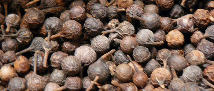 Cubeb Seeds, Cubeb