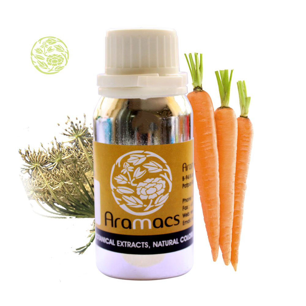 Carrot seed essential oil benefits Daucus Carota Oil