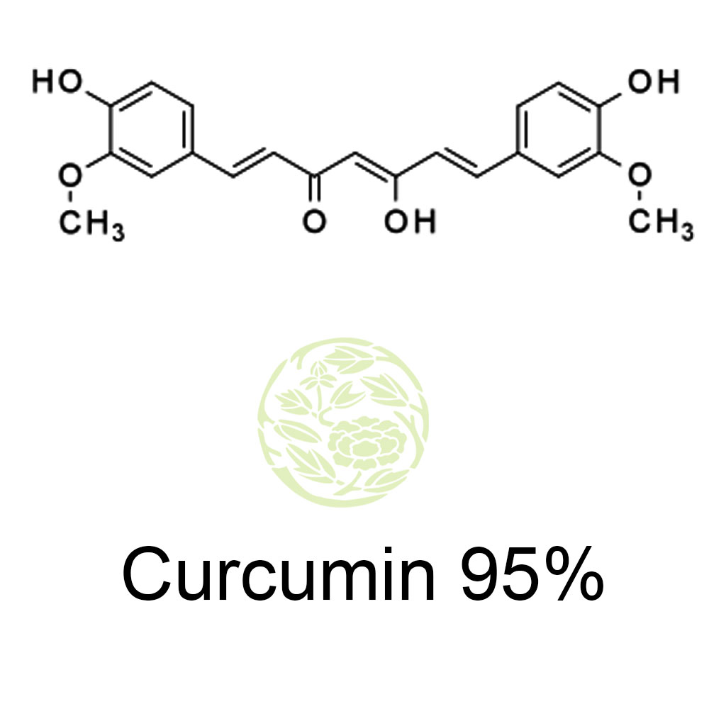 curcumin-95.jpg