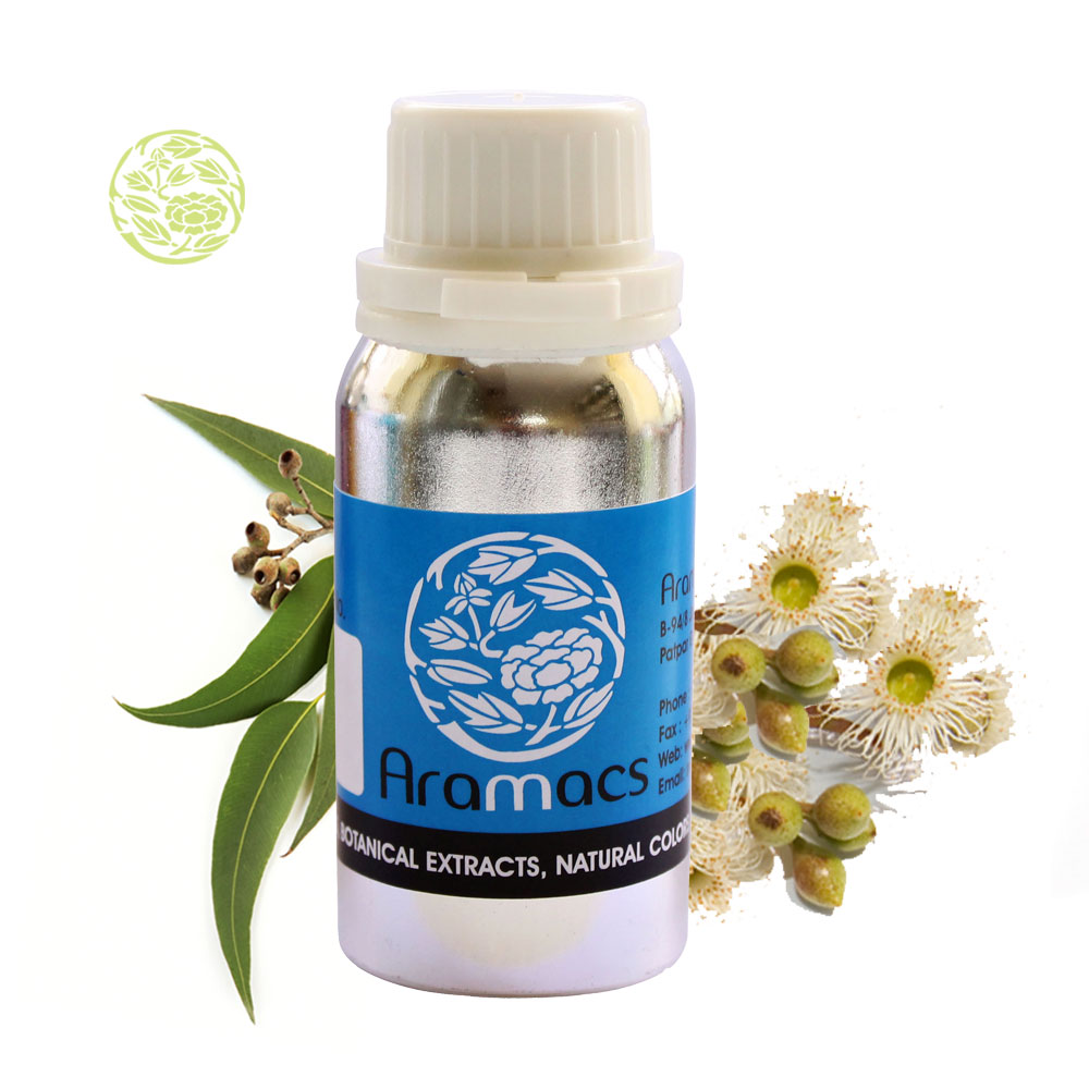 Eucalyptus Essential Oil Where to buy eucalyptus oil?