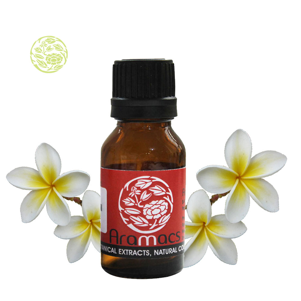 Frangipani Oil Frangipani Flower