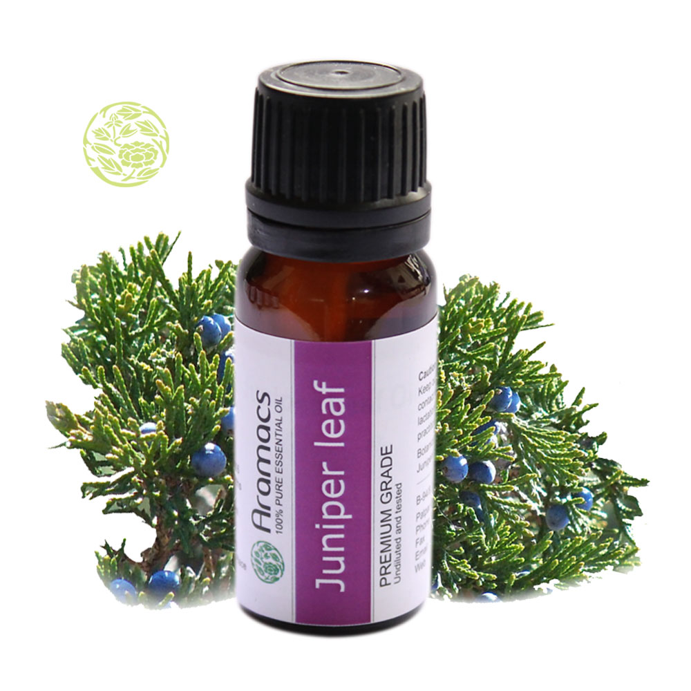 Juniper Leaf Essential Oil Where to buy Juniper Oil