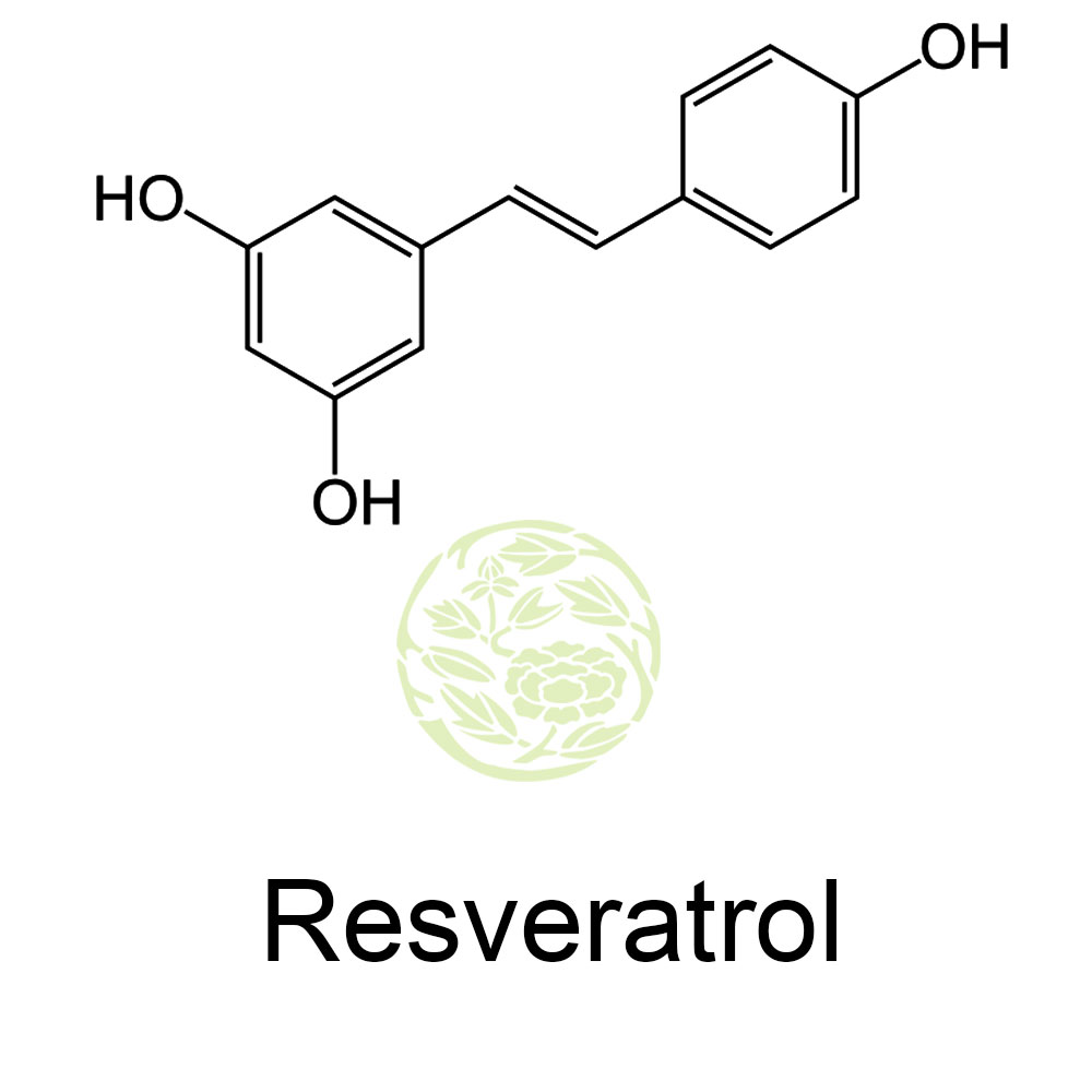 Resveratrol benefits of resveratrol