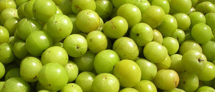 Amla Fruits