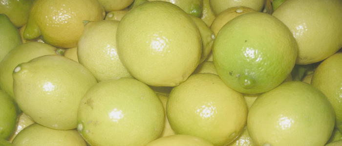 Lemon