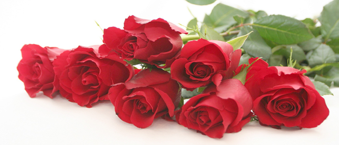 Rose Oil - Rose flower is the most popular fragrant flower found in the 