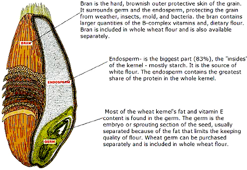 Wholemeal bread recipe wheat diagram