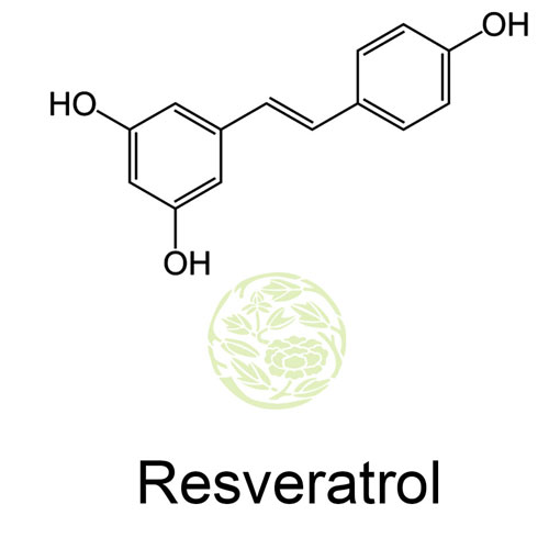 Resveratrol benefits of resveratrol