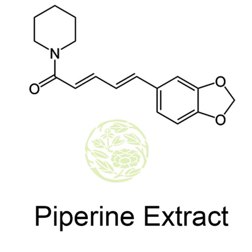 Piperine Extract