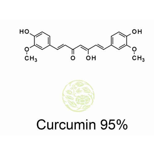 Curcumin 95%
