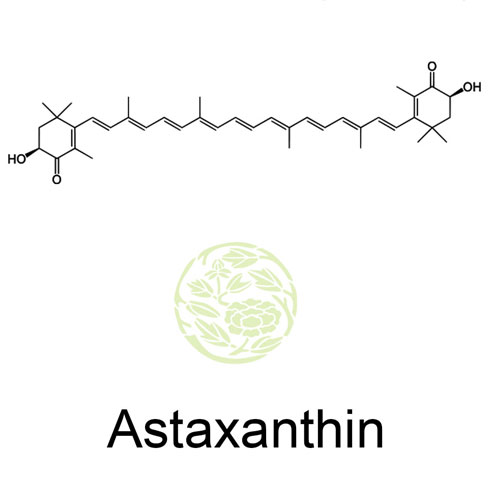Astaxanthin sources Health benefits of astaxanthin
