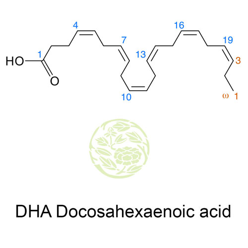 Dha Docosahexaenoic Acid