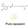 Pure Capsaicin