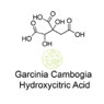 Garcinia Cambogia-hydroxycitric Acid (hca)
