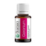 Geranium Oil
