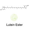 Lutein Ester