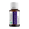 Spikenard Oil