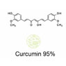 Curcumin 95%